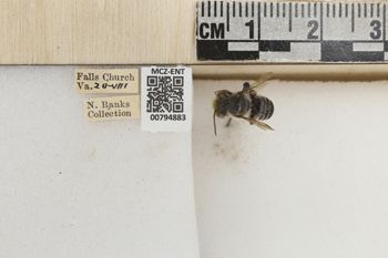 Media type: image;   Entomology 794883 Aspect: Labels
